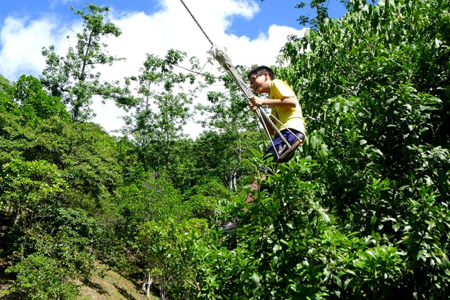 當一天山上的孩子‧在竹湖山居民宿私房景點盪高空鞦韆、爬樹捉蟲蟲、陽光下快樂奔跑