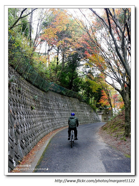 【日本】大阪府。牙籤博物館+自行車主題樂園