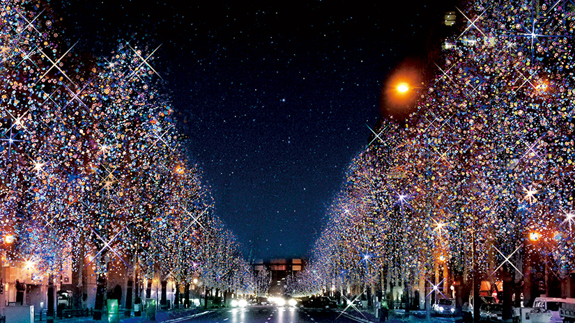 大阪御堂筋彩燈展2019｜世界紀錄認證最多彩燈裝飾行道樹的道路