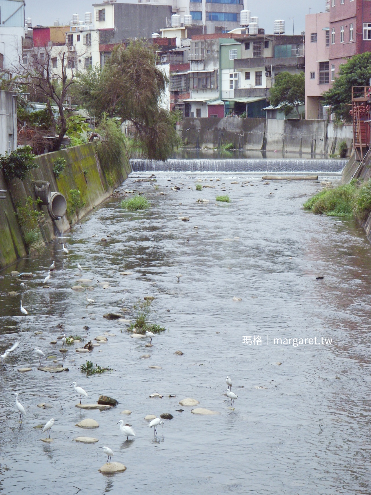 瑪格演講初體驗。不能沒有你｜健行科技大學（前中壢清雲科技大學）