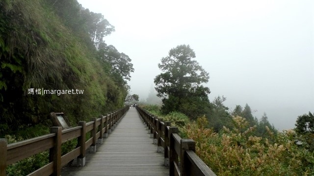 太平山森林遊樂區遊園｜翠峰湖、蹦蹦車、森林步道