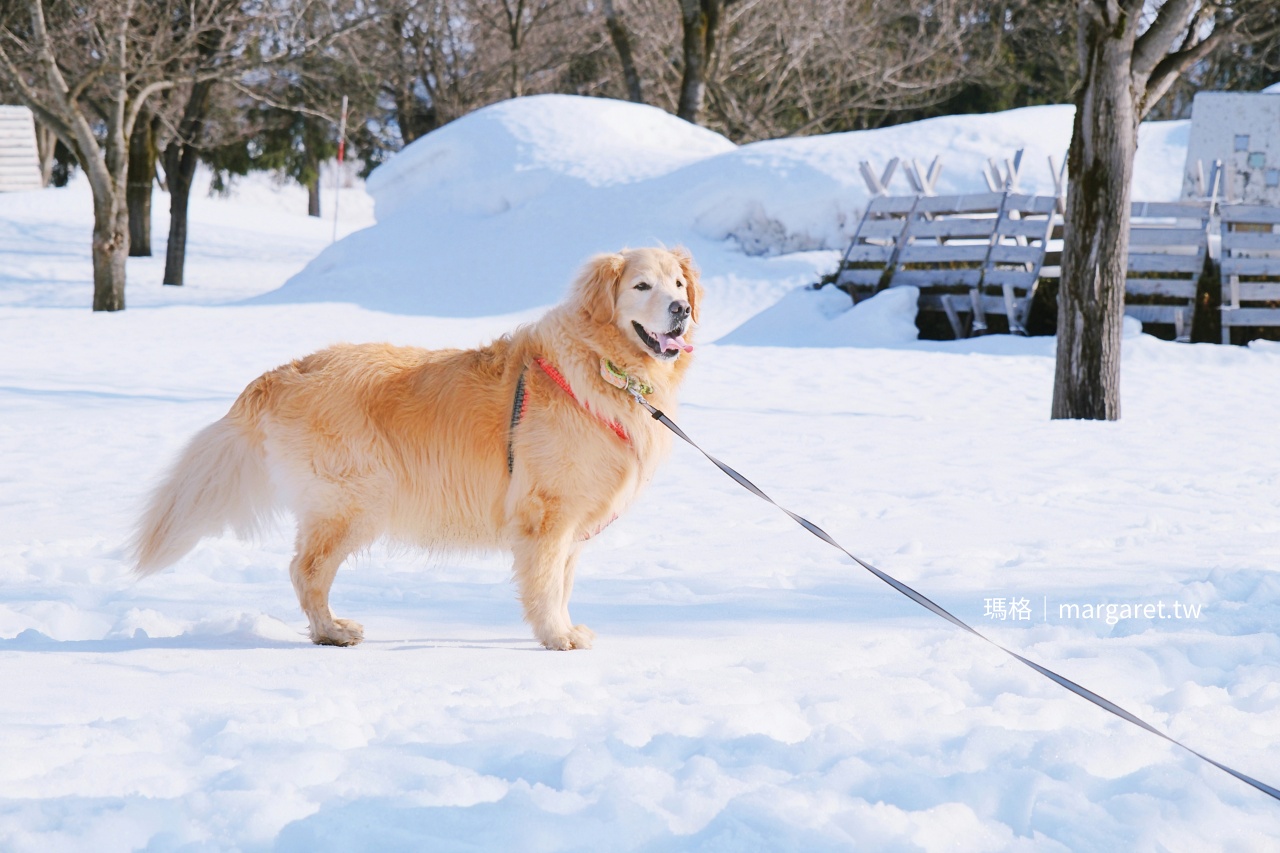 湯澤犬子祭。秋田冬日祭典｜