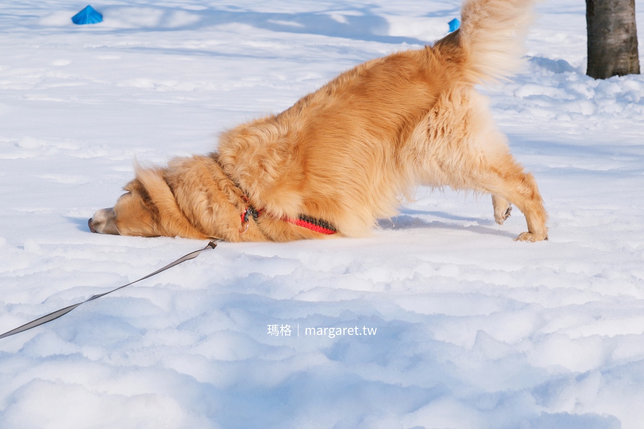 湯澤犬子祭。秋田冬日祭典｜