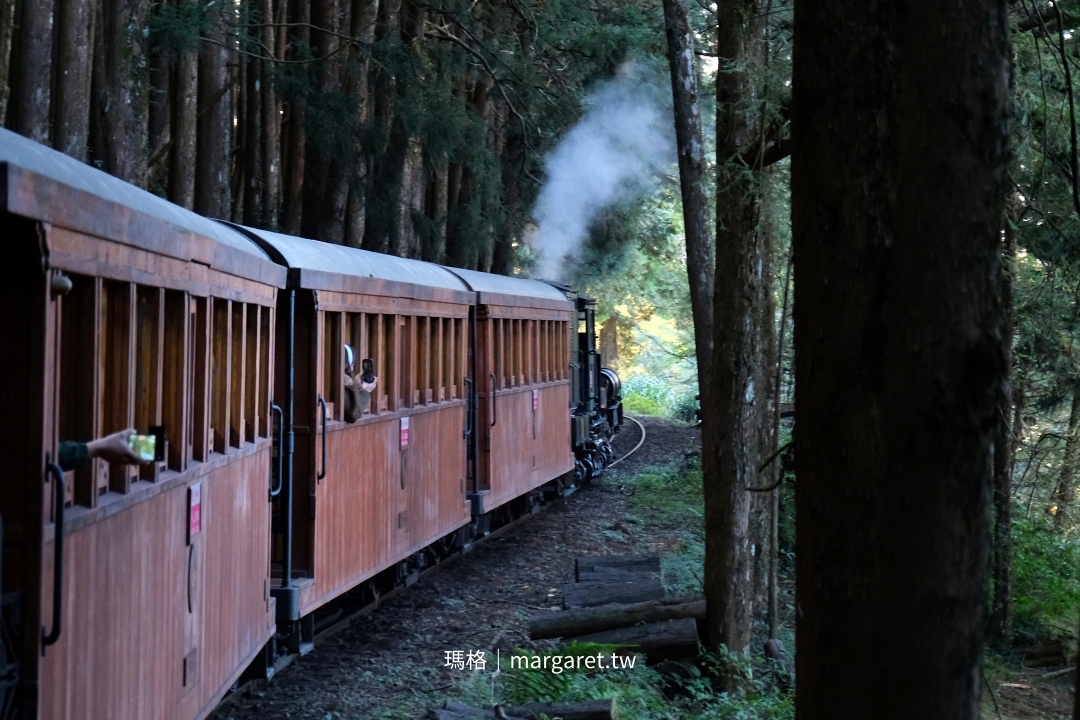 阿里山林業鐵路。搭小火車上山每日三班｜嘉義到奮起湖、十字路一日遊