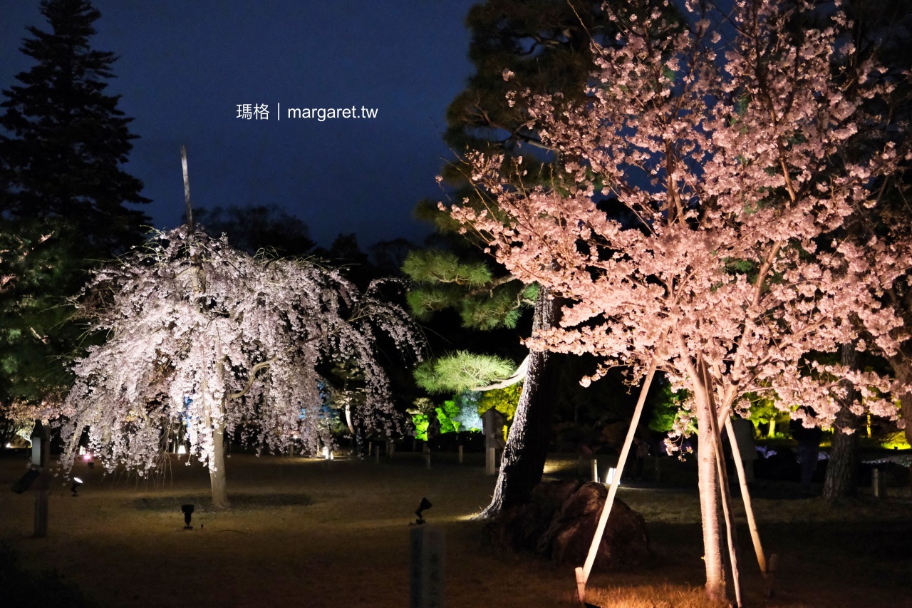 京都世界遺産。元離宮二条城夜櫻｜NAKED FLOWERS 2024