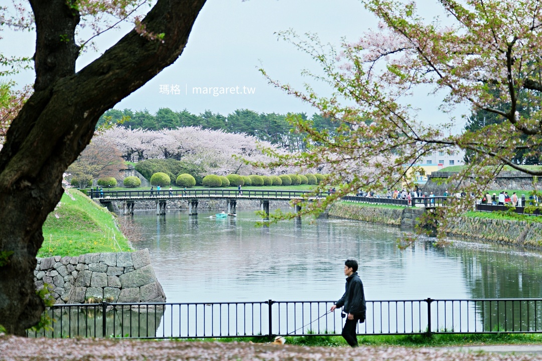 北海道六花亭。五稜郭店｜窗外的櫻花、小橋、流水