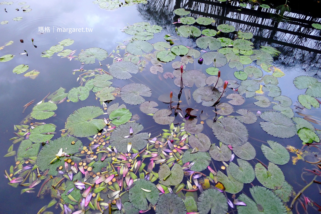 蓮城蓮花園外觀 花蓮吉安鄉自然農法蓮花農園