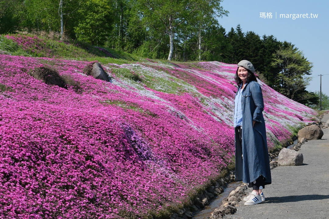 羊蹄山腳下、三島先生家的芝櫻開好了沒？｜北海道免費賞花景點