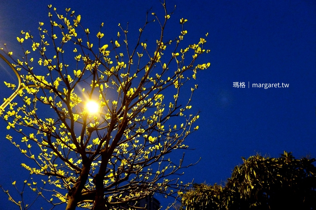 Hotel Day+ 承億文旅淡水吹風。新北市設計旅店｜漁人碼頭的黃昏漫遊