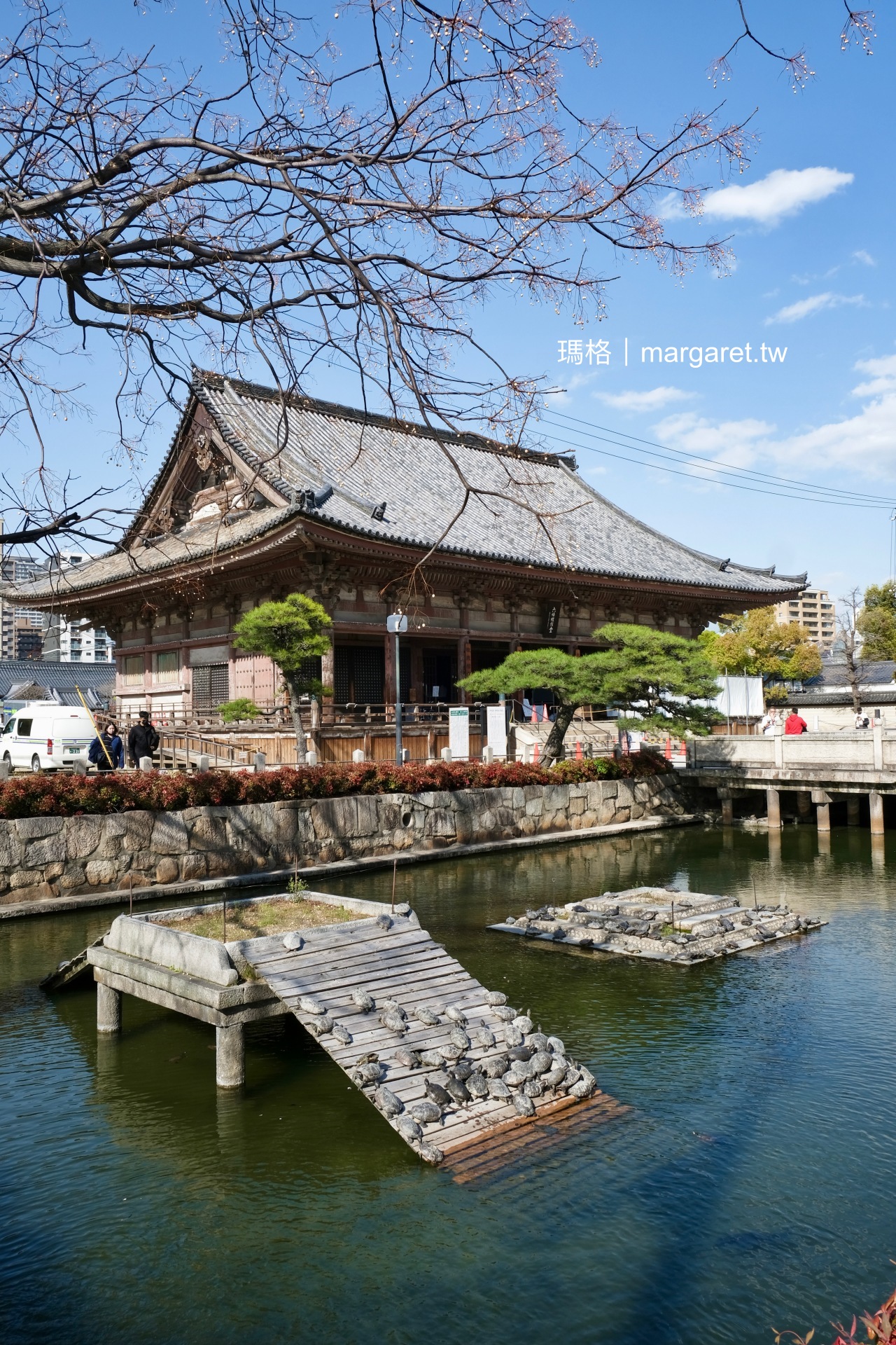 四天王寺。大阪賞櫻景點｜日本最早的佛寺。特別的石舞台和龜之池