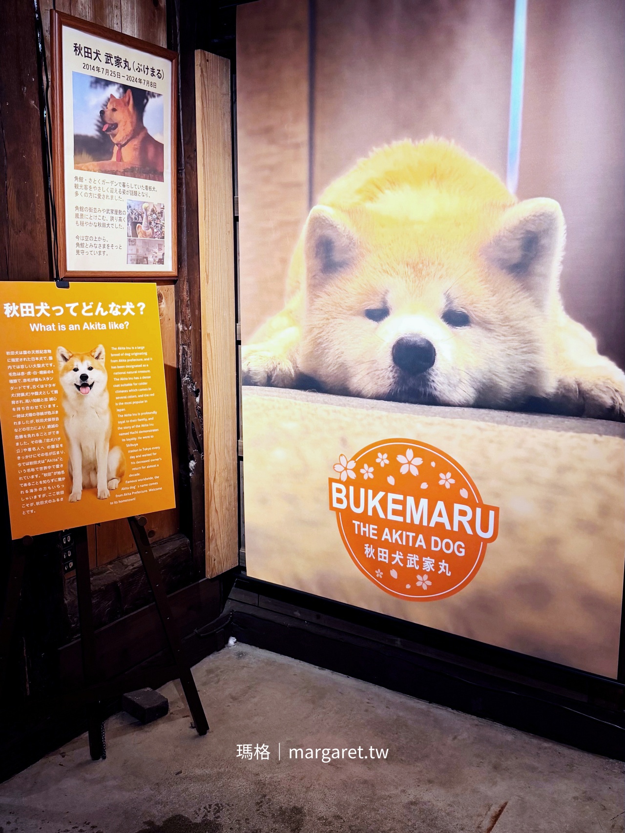 武家屋敷青柳家。穿越江戶時光的角館歷史村｜秋田縣指定史跡