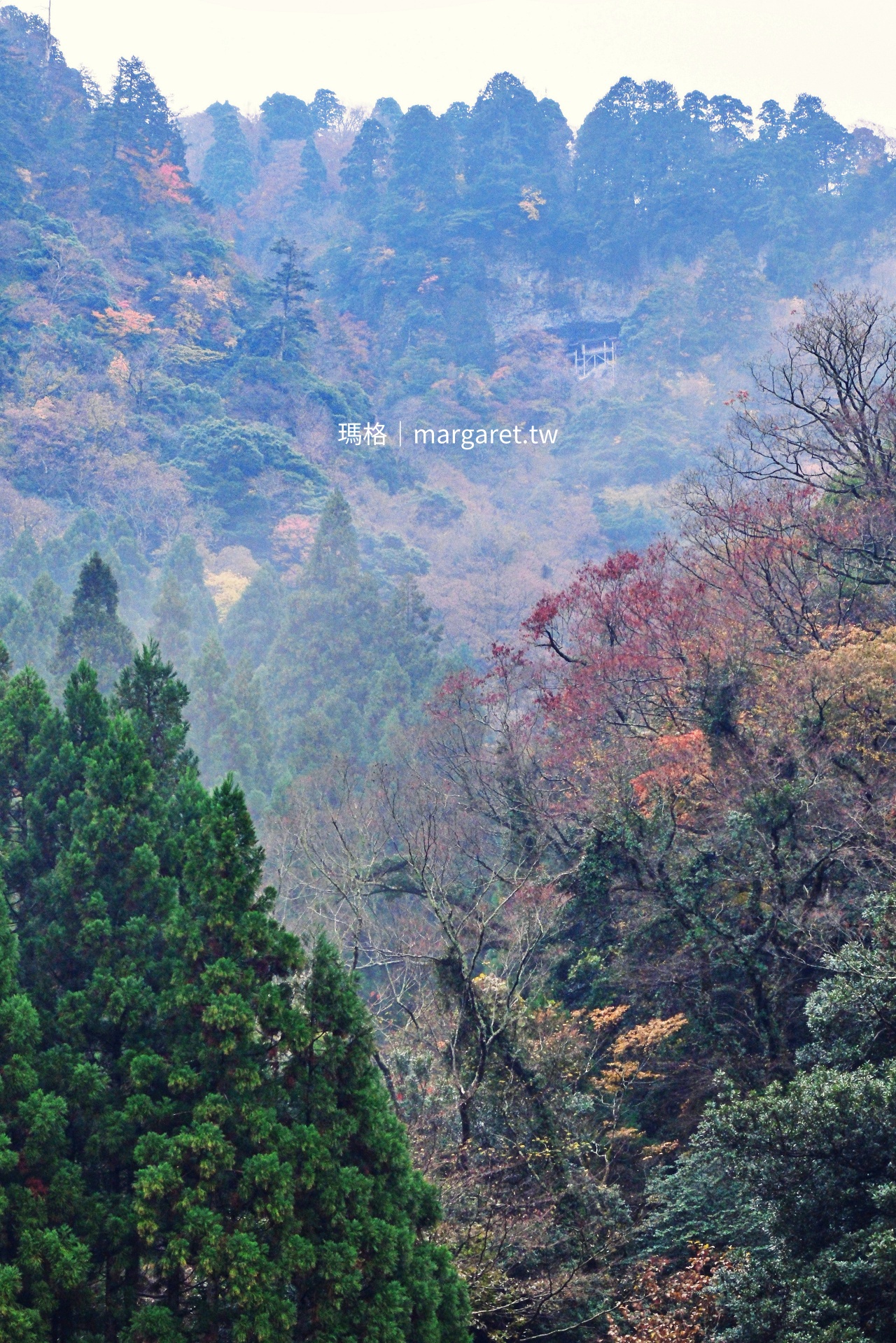 最危險的日本國寶？三德山投入堂｜遙拜所遠觀垂直絕壁上的廟宇