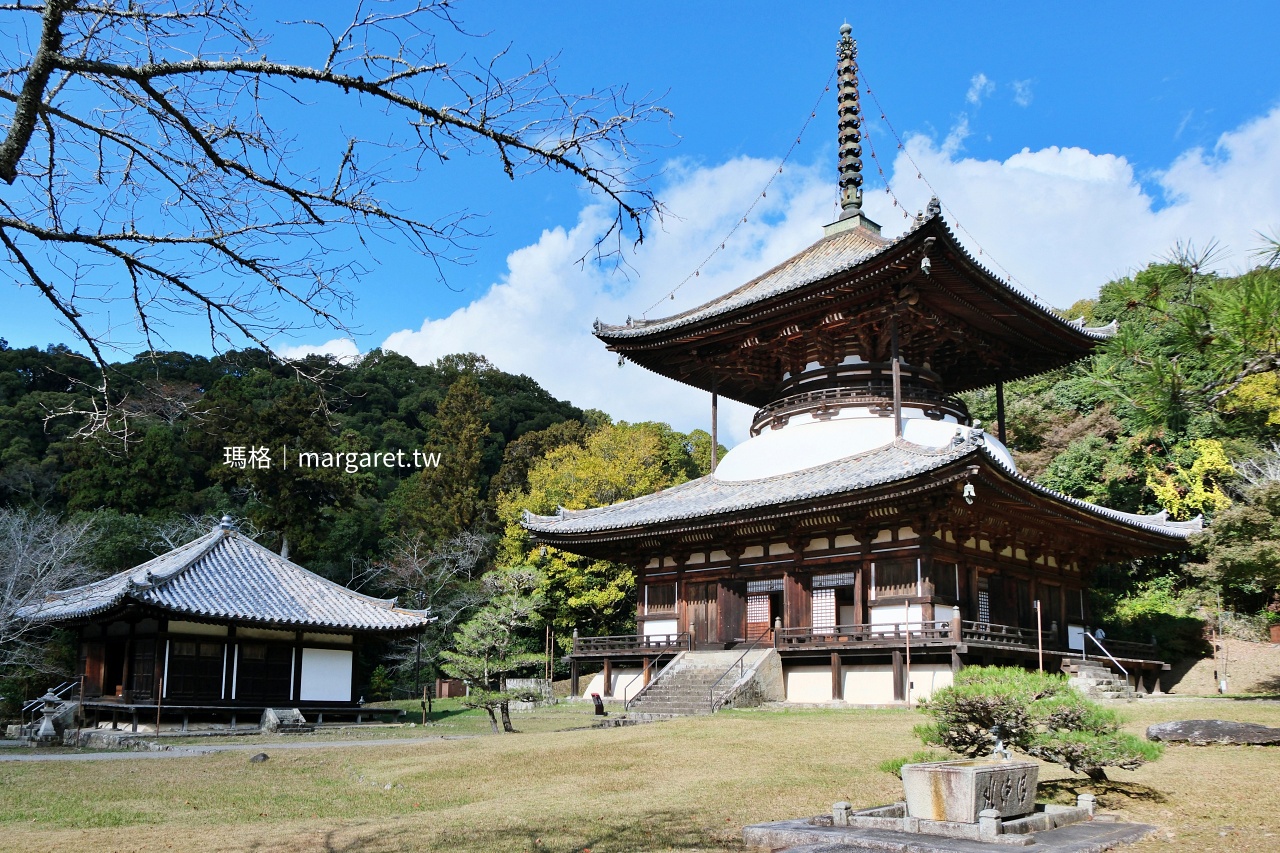 和歌山根來寺。日本規模最大木造塔｜日本國寶。賞櫻百名所