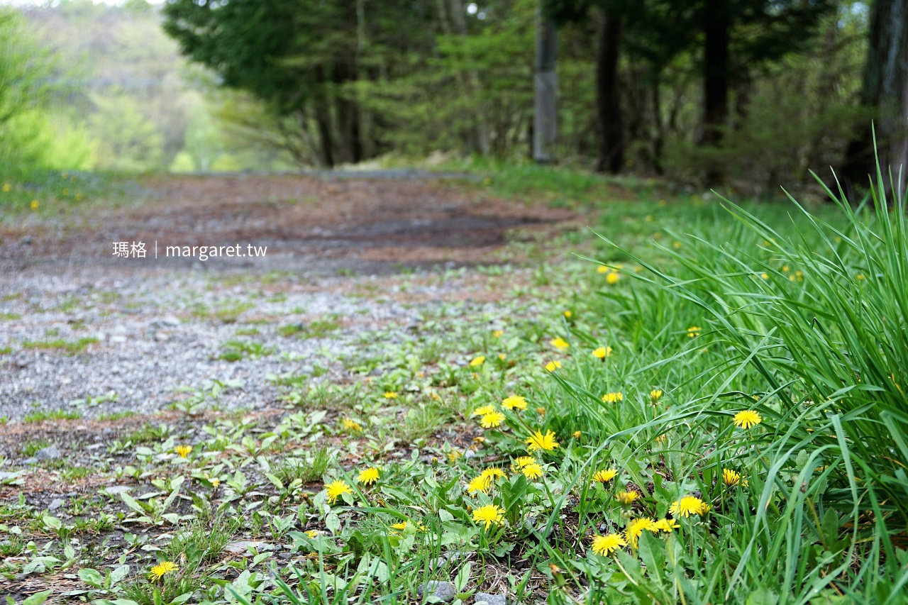 清里高原。石牆木造禢禢米小教堂｜聖安德魯教會（清里聖アンデレ教会）