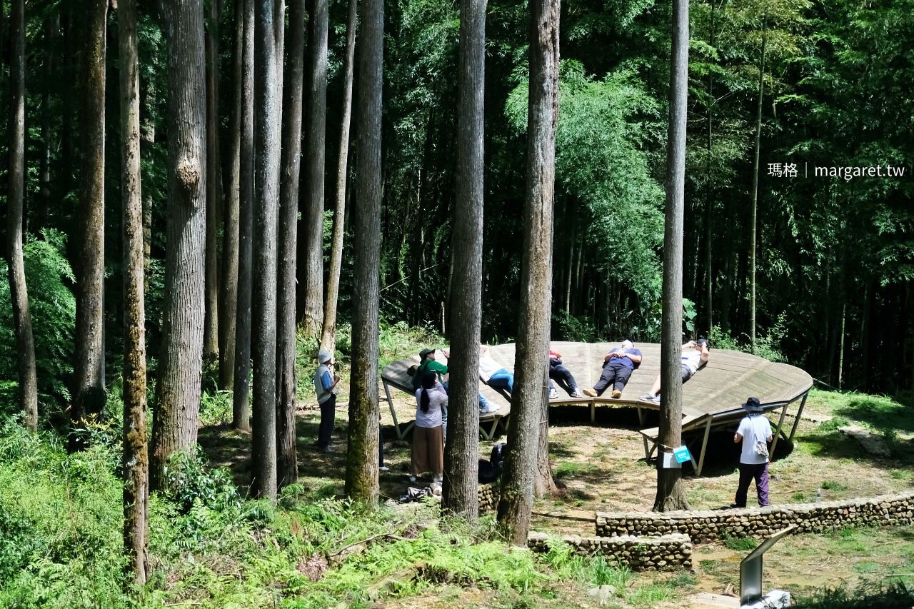 雲林山林慢旅：大草嶺觀光圈二日遊｜樟湖茶境、石壁奇景、森林療癒基地
