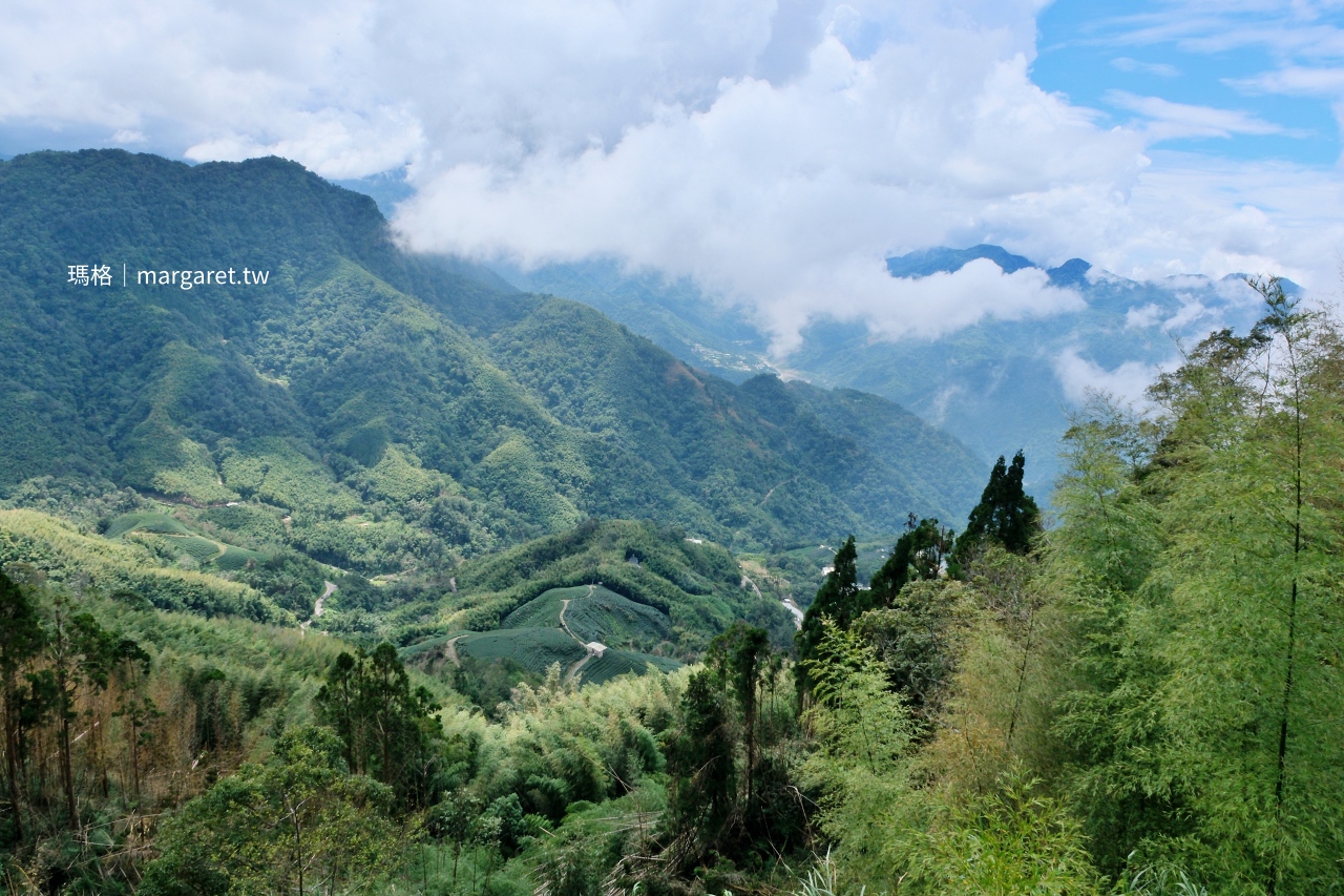 雲林山林慢旅：大草嶺觀光圈二日遊｜樟湖茶境、石壁奇景、森林療癒基地