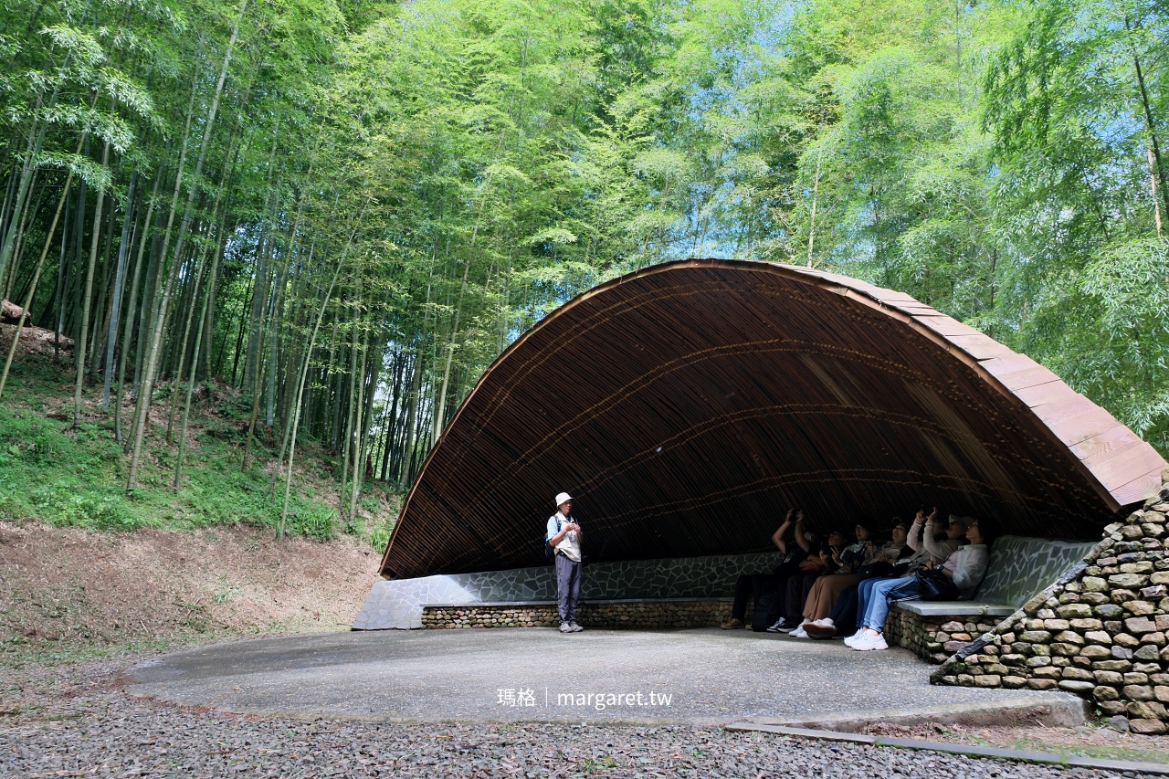 雲林山林慢旅：大草嶺觀光圈二日遊｜樟湖茶境、石壁奇景、森林療癒基地