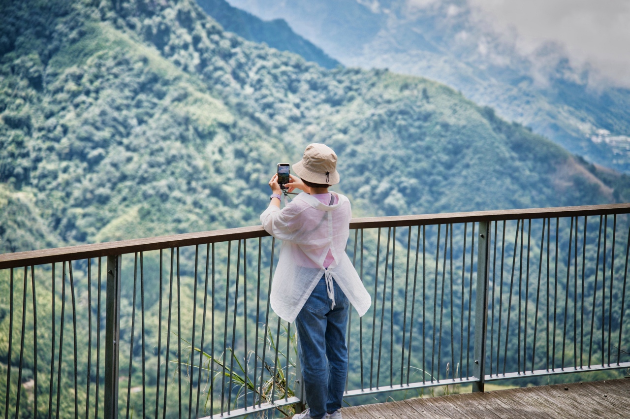 雲林山林慢旅：大草嶺觀光圈二日遊｜樟湖茶境、石壁奇景、森林療癒基地