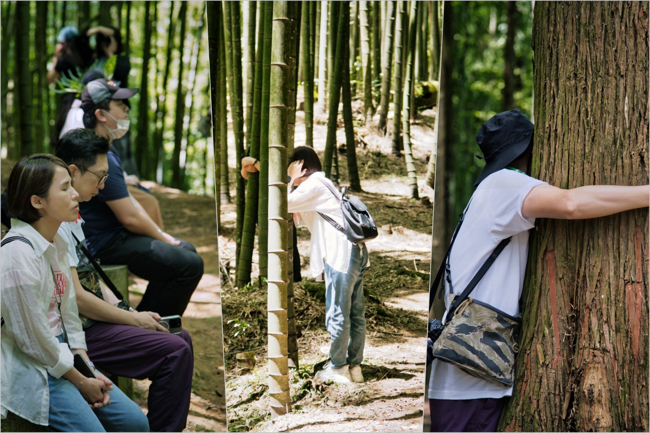 雲林山林慢旅：大草嶺觀光圈二日遊｜樟湖茶境、石壁奇景、森林療癒基地