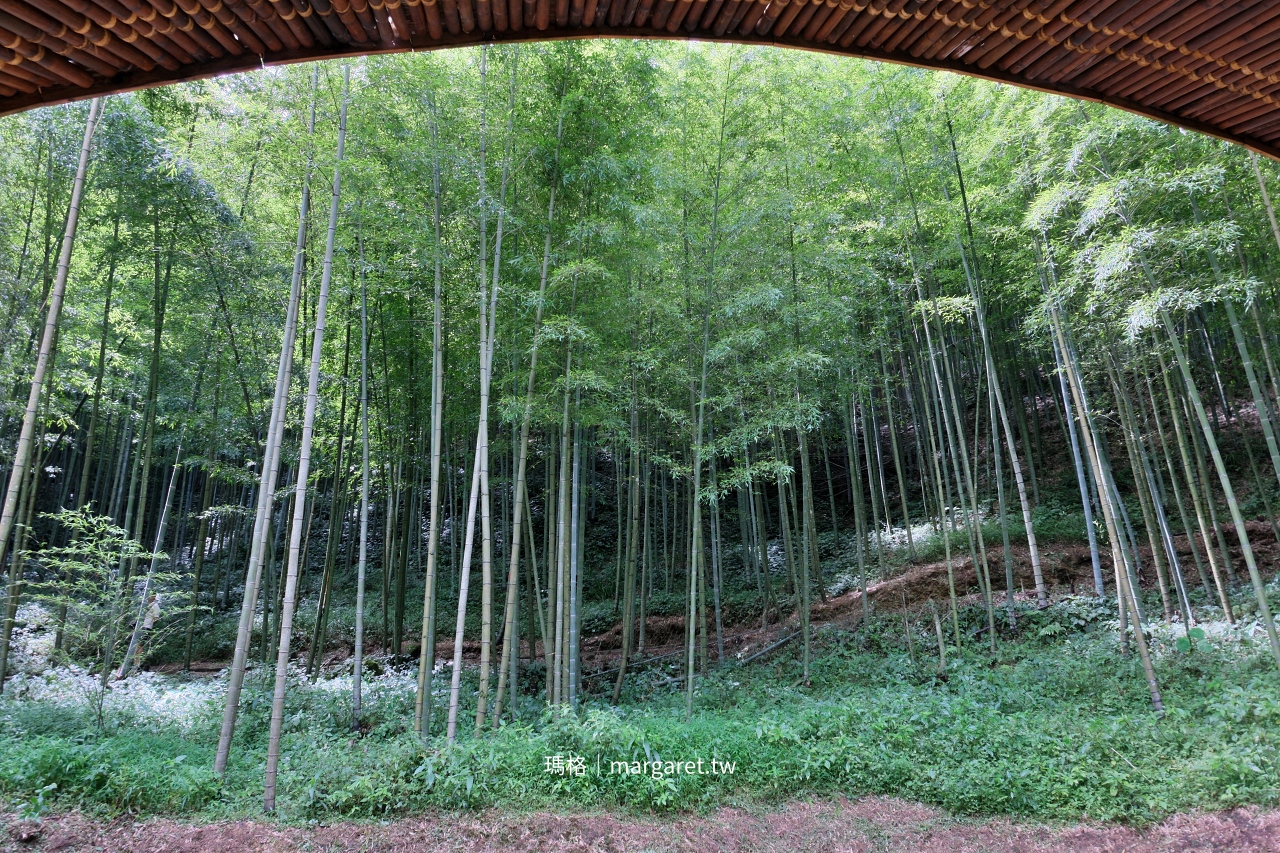 雲林山林慢旅：大草嶺觀光圈二日遊｜樟湖茶境、石壁奇景、森林療癒基地