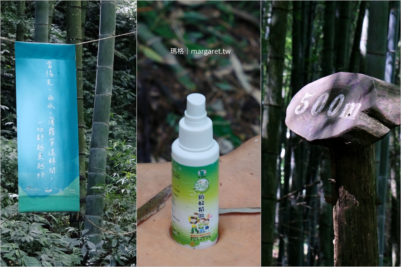 雲林山林慢旅：大草嶺觀光圈二日遊｜樟湖茶境、石壁奇景、森林療癒基地