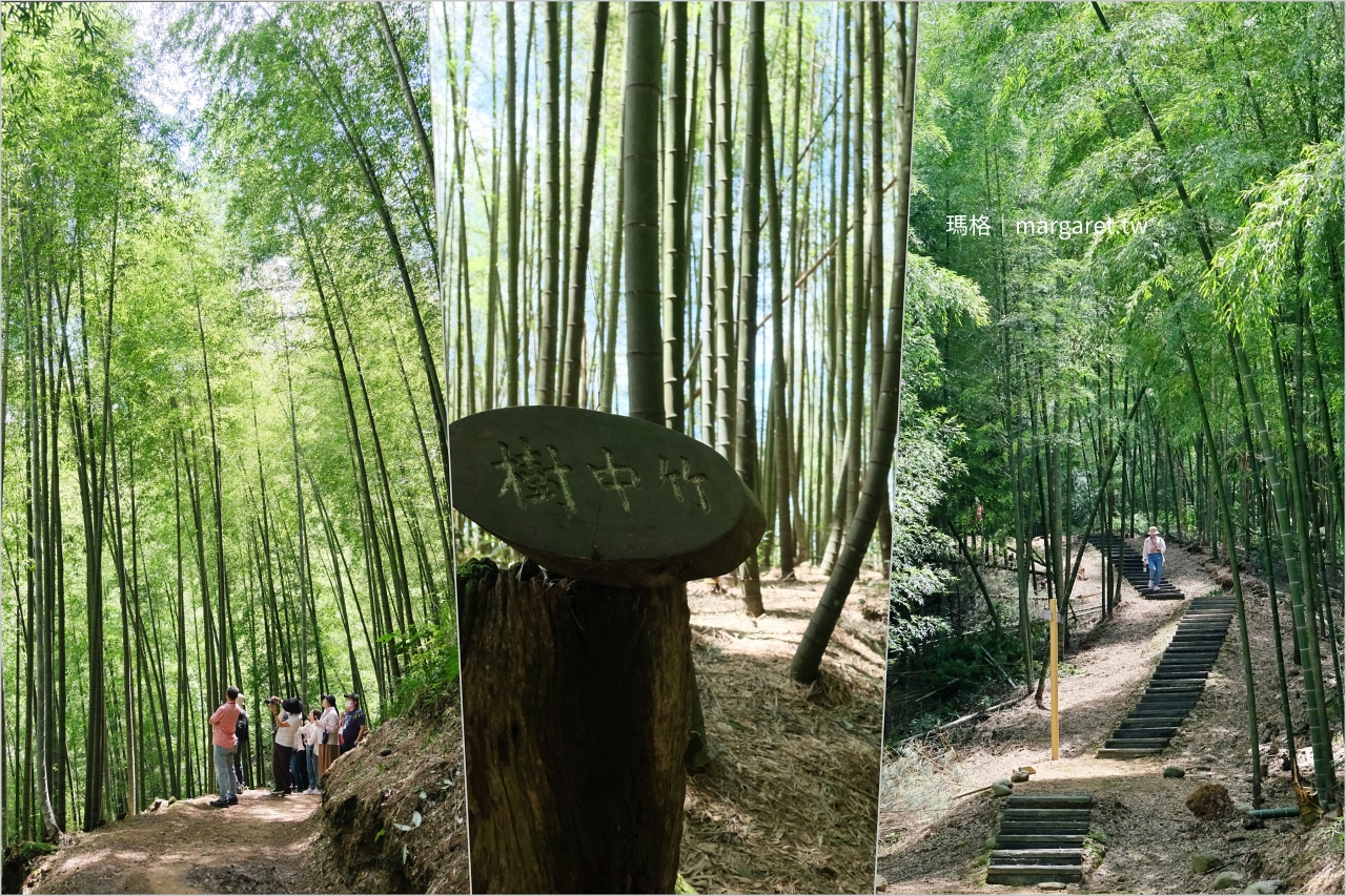 雲林山林慢旅：大草嶺觀光圈二日遊｜樟湖茶境、石壁奇景、森林療癒基地