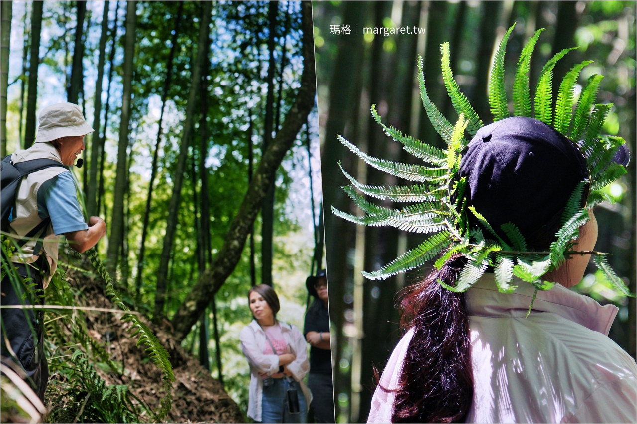雲林山林慢旅：大草嶺觀光圈二日遊｜樟湖茶境、石壁奇景、森林療癒基地