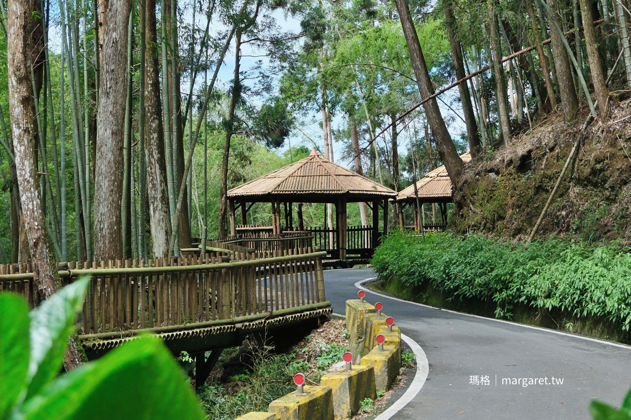 雲林山林慢旅：大草嶺觀光圈二日遊｜樟湖茶境、石壁奇景、森林療癒基地