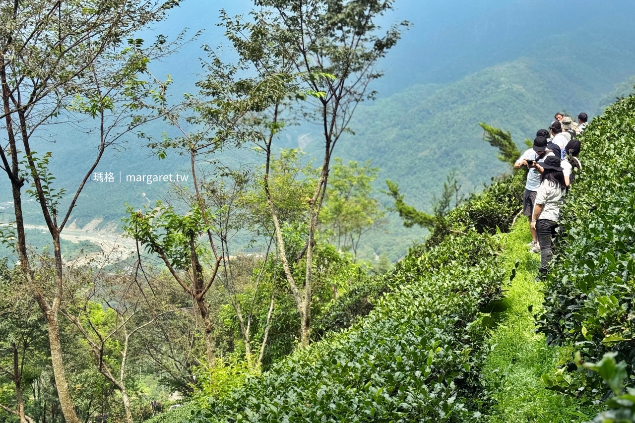 雲林山林慢旅：大草嶺觀光圈二日遊｜樟湖茶境、石壁奇景、森林療癒基地