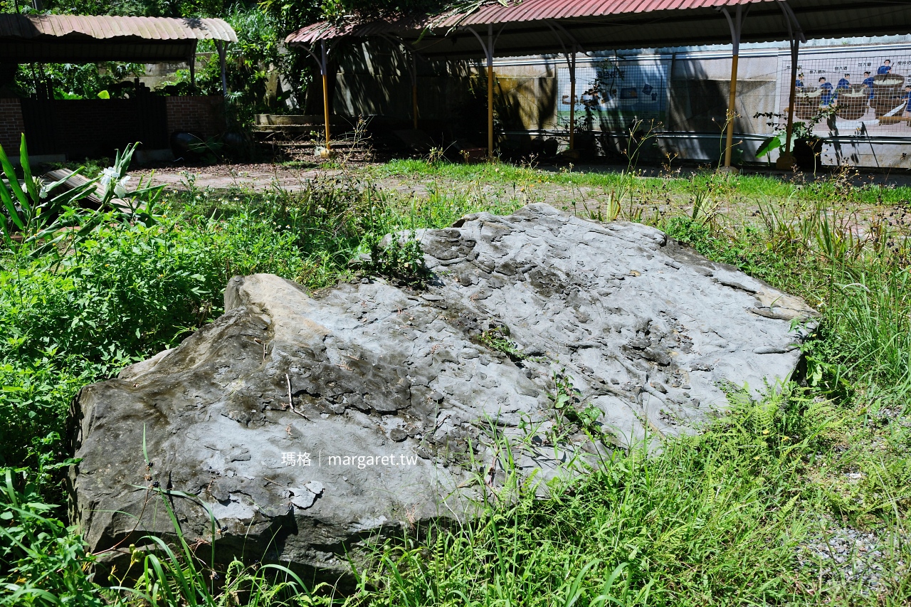 雲林山林慢旅：大草嶺觀光圈二日遊｜樟湖茶境、石壁奇景、森林療癒基地