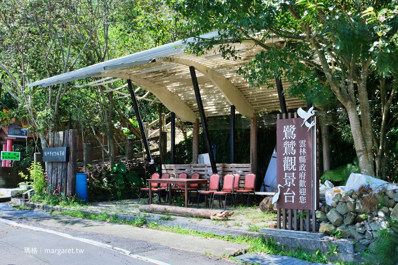 雲林山林慢旅：大草嶺觀光圈二日遊｜樟湖茶境、石壁奇景、森林療癒基地