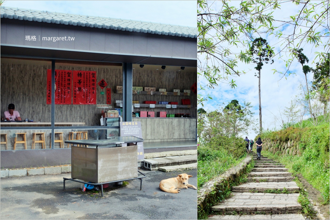 雲林山林慢旅：大草嶺觀光圈二日遊｜樟湖茶境、石壁奇景、森林療癒基地