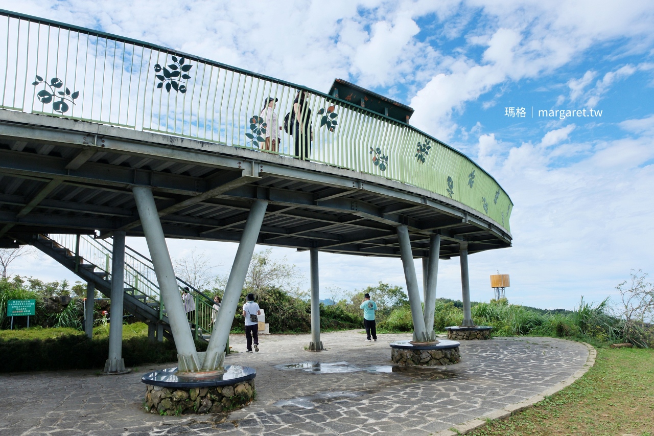 雲林山林慢旅：大草嶺觀光圈二日遊｜樟湖茶境、石壁奇景、森林療癒基地