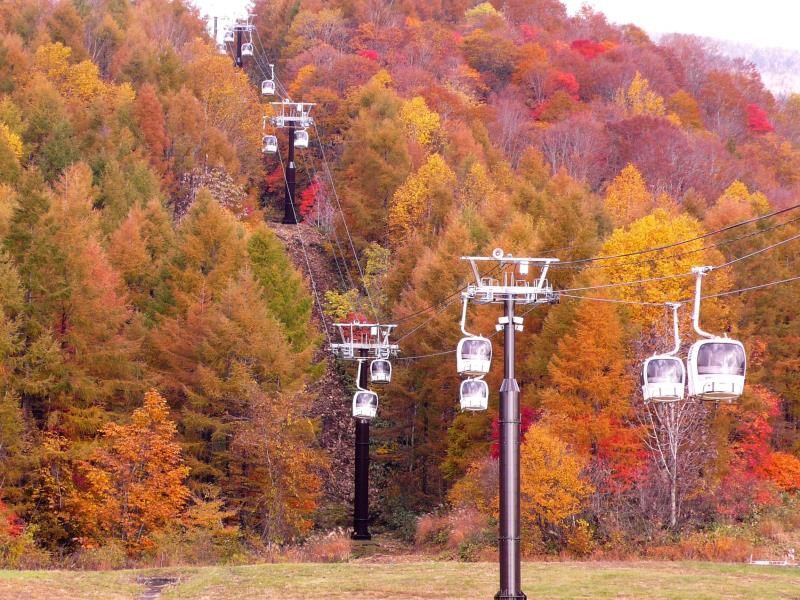 東急裏磐梯度假村EN Resort Grandeco Hotel ｜滑雪場雪上活動、雪中泡溫泉初體驗