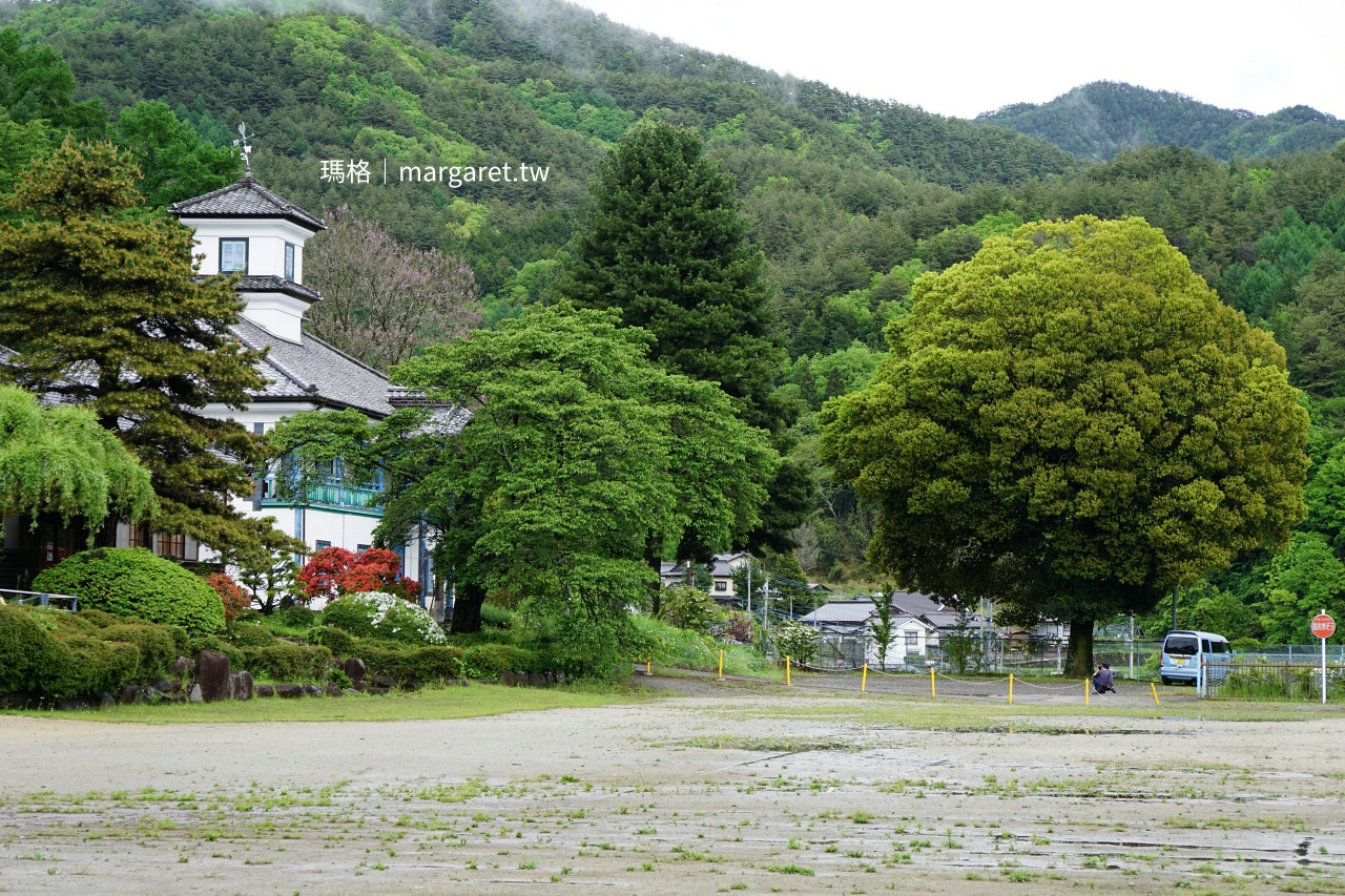 明治學校咖啡館校園樹木造景，充滿插畫感的圓形樹。