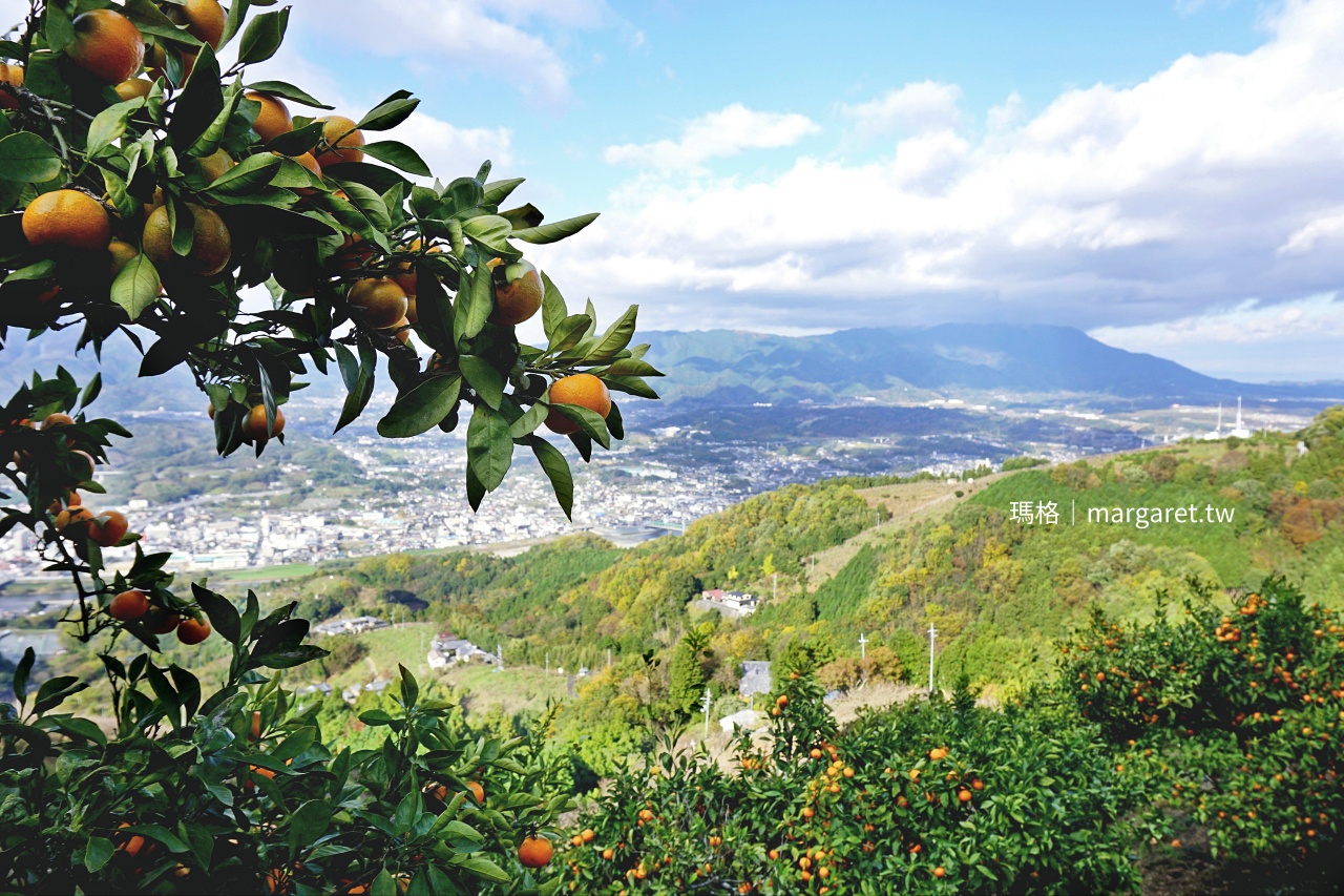 景色優美的和歌山橋本市國城觀光農園。
