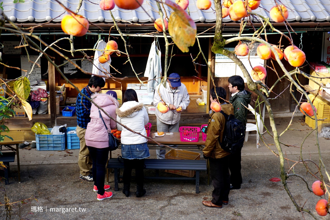 國城觀光農園老闆示範削柿子。