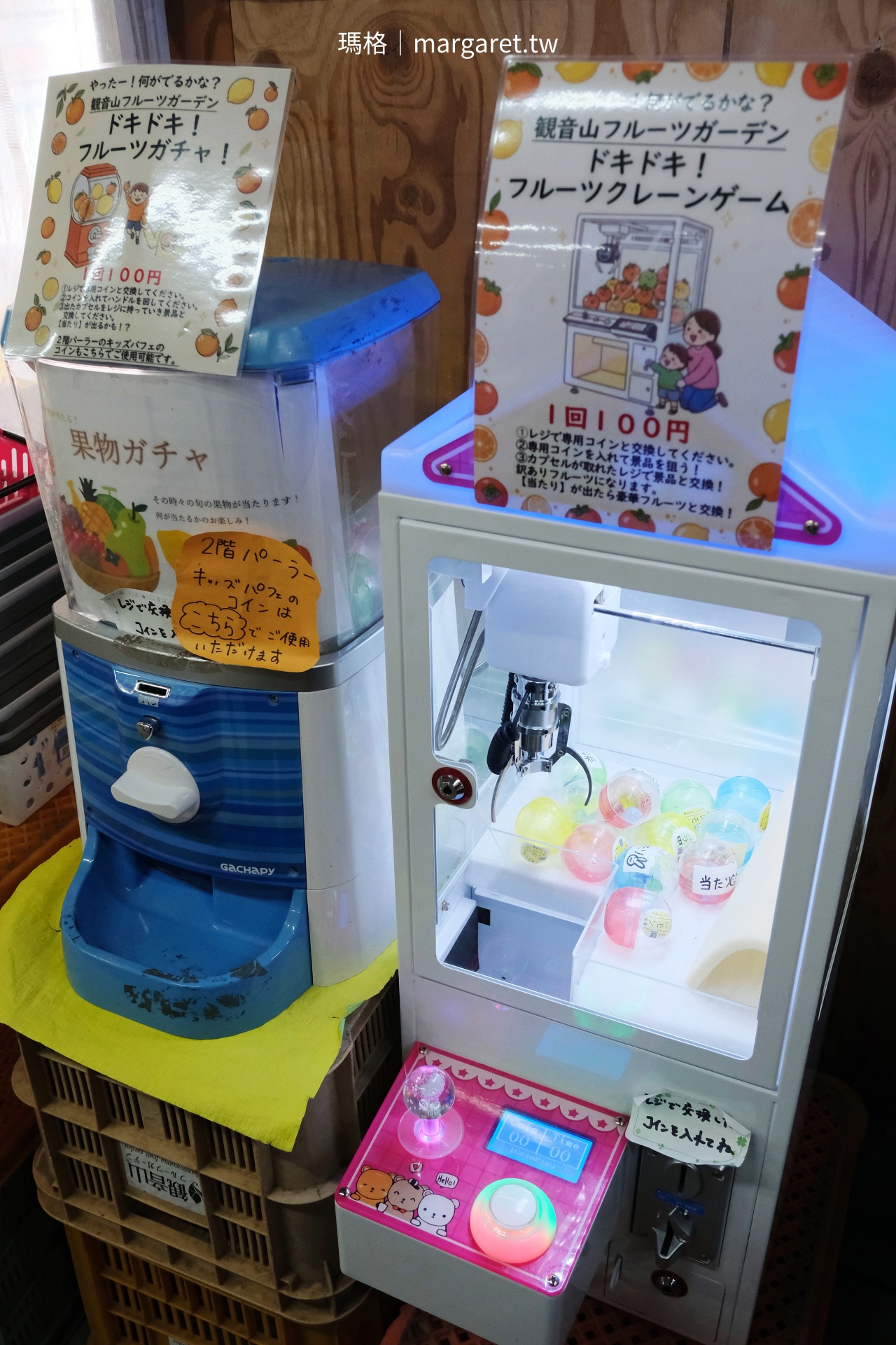 果園裡的浮誇水果聖代｜和歌山觀音山觀光農園：採果、喝咖啡都可以