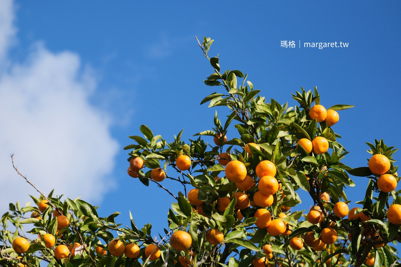 果園裡的浮誇水果聖代｜和歌山觀音山觀光農園：採果、喝咖啡都可以