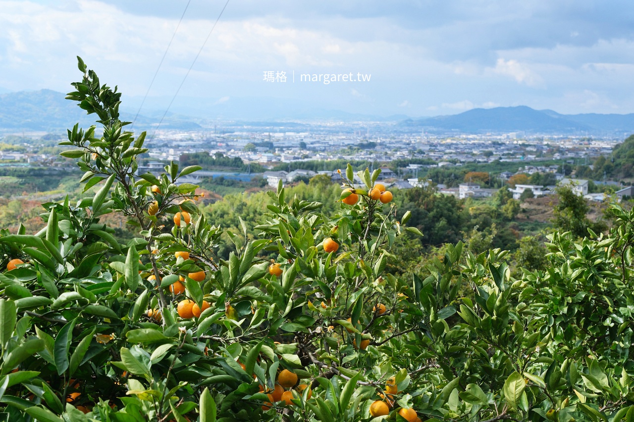 果園裡的浮誇水果聖代｜和歌山觀音山觀光農園：採果、喝咖啡都可以