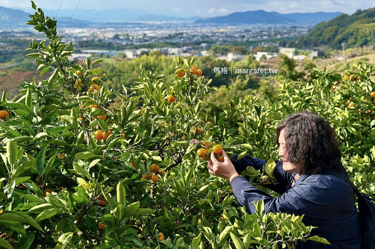 果園裡的浮誇水果聖代｜和歌山觀音山觀光農園：採果、喝咖啡都可以