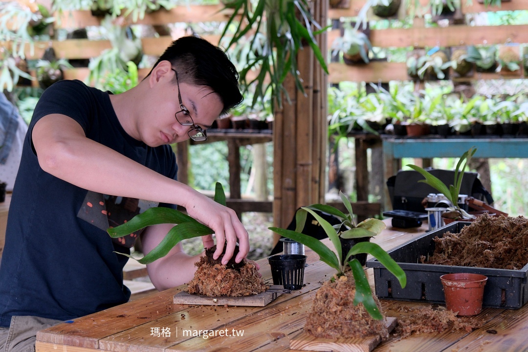 參山國家風景區。苗栗八卦力＋向天湖部落一日遊｜湖中咖啡民宿臀鈴DIY。嘎嘎歐岸部落體驗