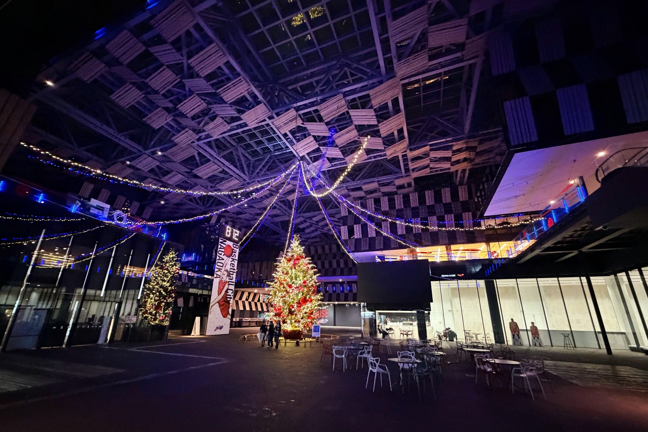 長岡法華飯店 廣場聖誕樹 夜晚街景