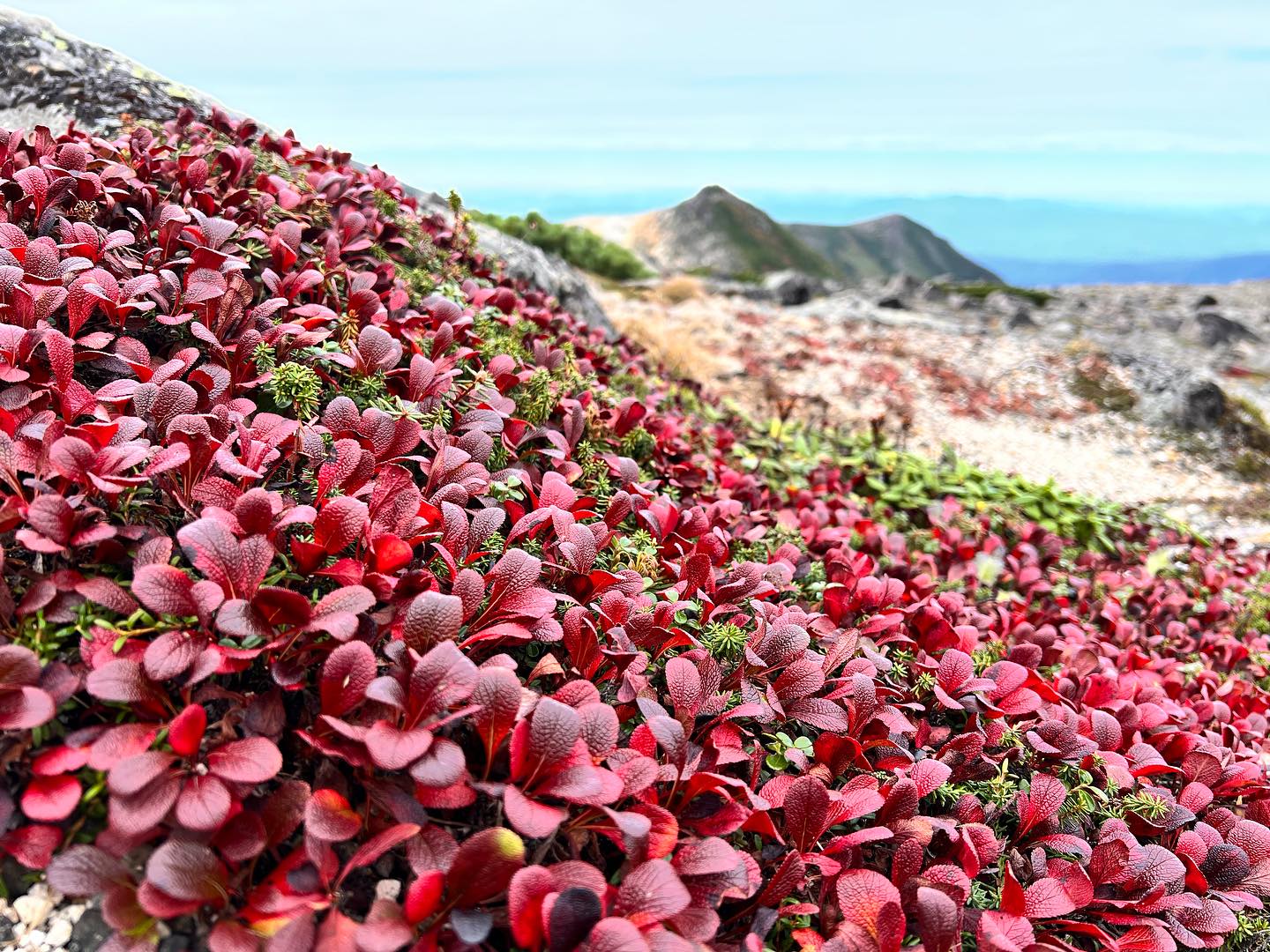大雪山層雲峽・黑岳纜車