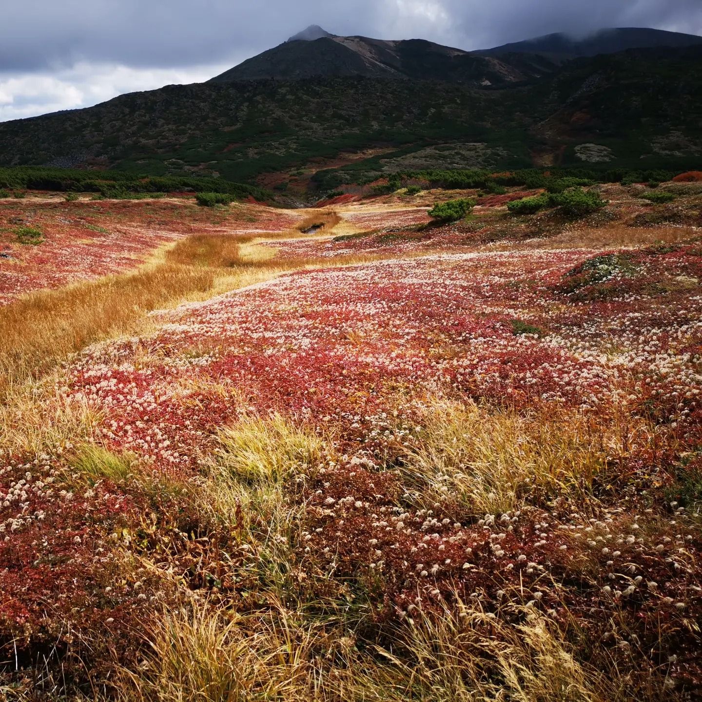 大雪山層雲峽・黑岳纜車