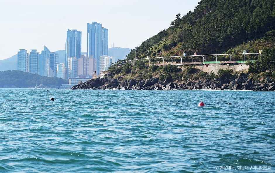 海雲台藍線公園海岸列車。釜山海景第一排｜可愛的天空膠囊列車