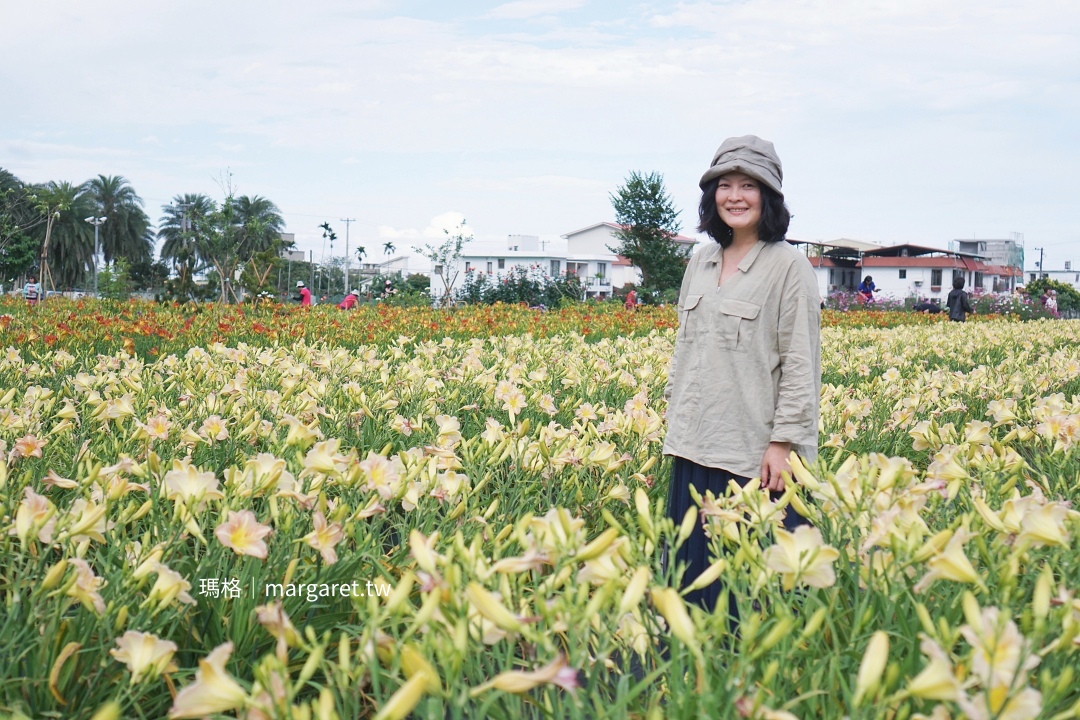 花蓮童話屋咖啡館 Mr. Sam Soaring in the wind。 嘉德萱草5色花田。美好花生｜花東縱谷台九線旅遊新亮點