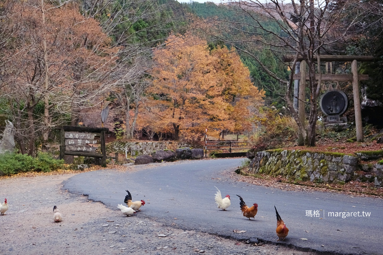 三滝園（みたき園）。鳥取森林裡的山菜料理｜日本最美村莊智頭町
