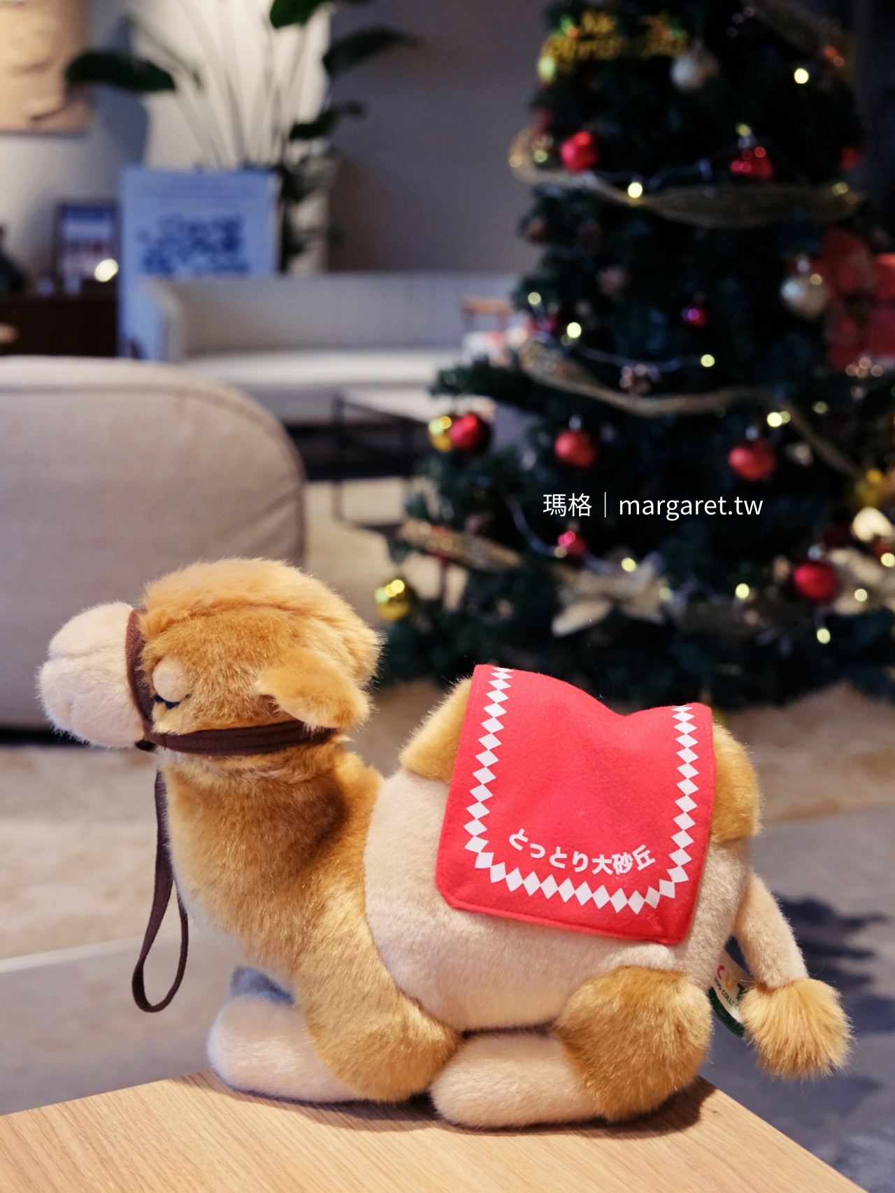 東急STAY四谷。天井花園Free Lounge｜房間專屬洗脫烘衣機、小廚房、智慧電視