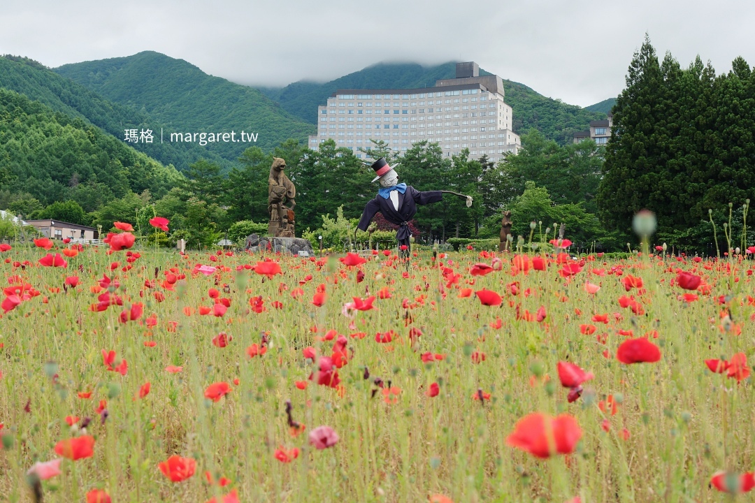 豬苗代花草園。磐梯高原美麗花園｜日式和風花傘Umbrella Sky熱門打卡景點